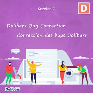 Service de correction des bugs Dolibarr , Serveur OVH