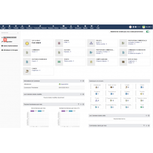 Personalización de contenido para Dolibarr