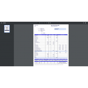 France Model Pay Slip - or France Model Pay Slip